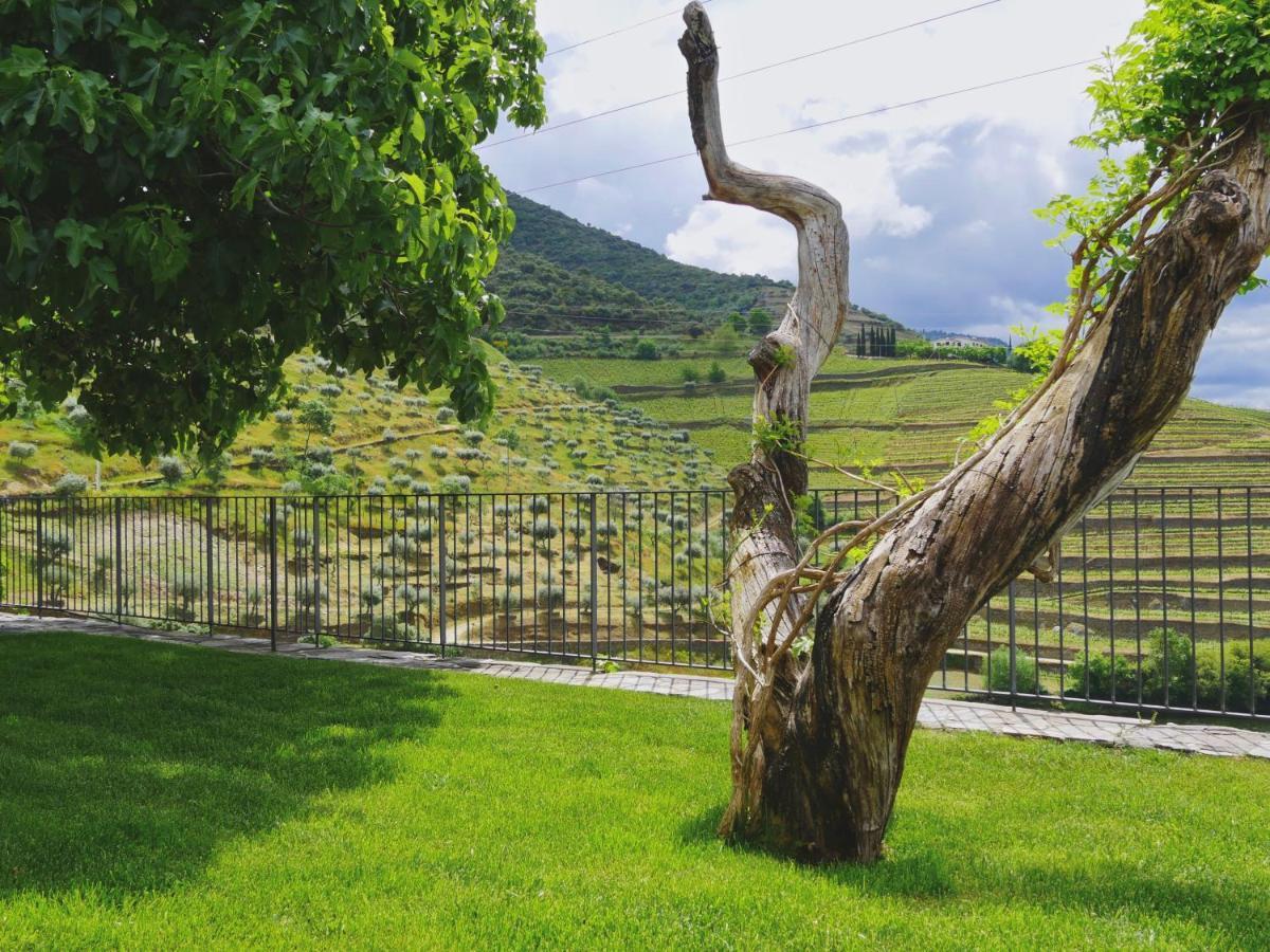 Quinta Do Tedo Bed & Breakfast Folgosa  ภายนอก รูปภาพ