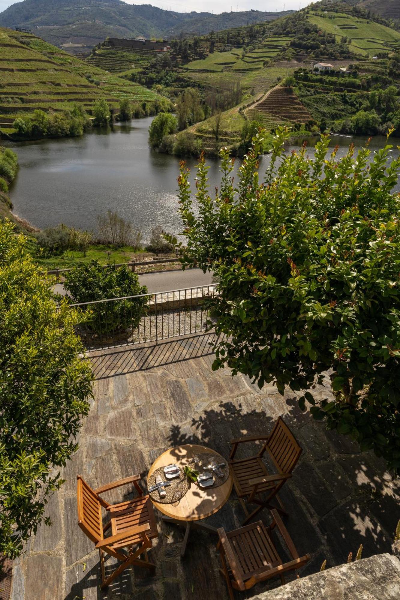 Quinta Do Tedo Bed & Breakfast Folgosa  ภายนอก รูปภาพ