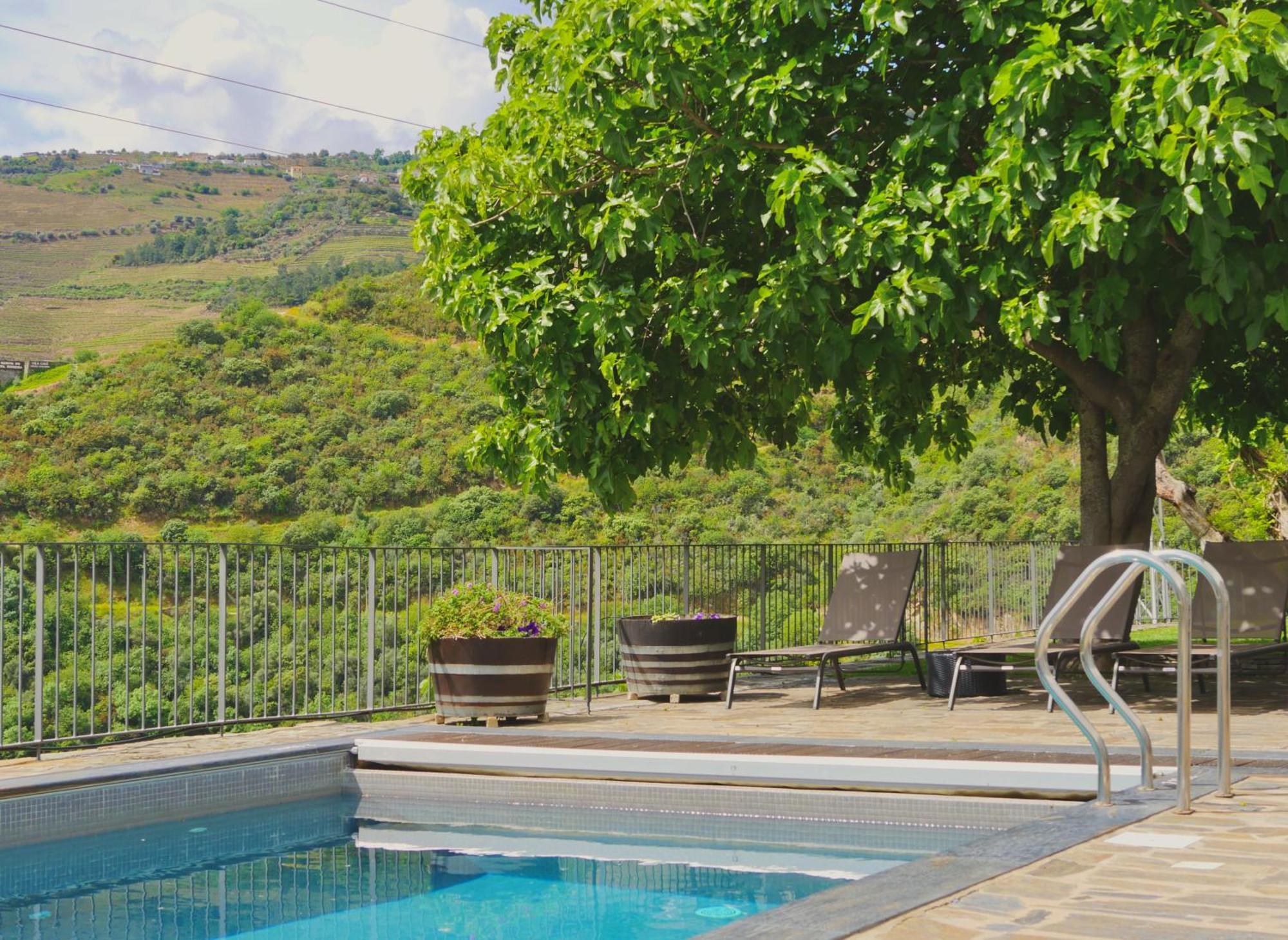 Quinta Do Tedo Bed & Breakfast Folgosa  ภายนอก รูปภาพ