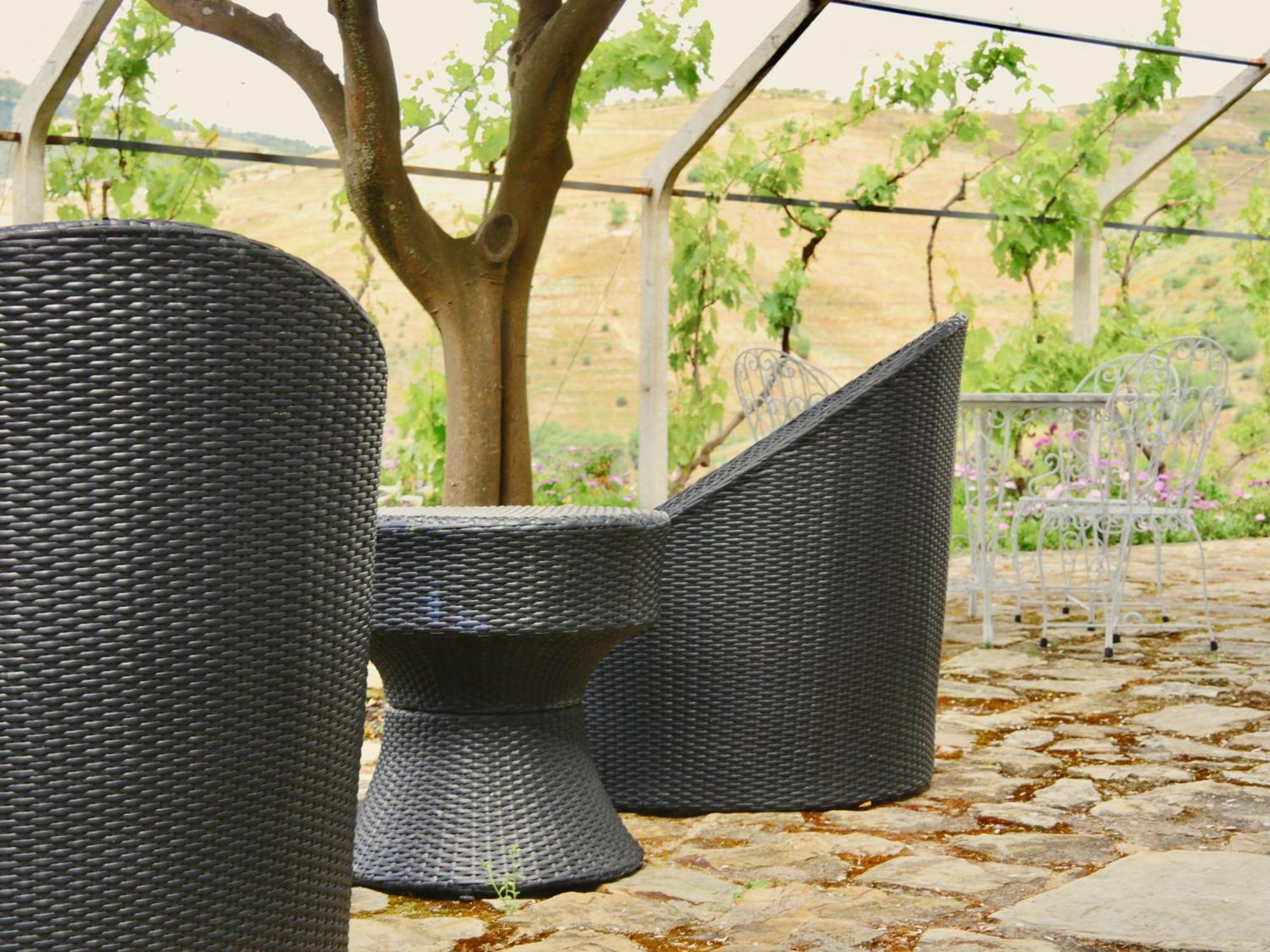 Quinta Do Tedo Bed & Breakfast Folgosa  ภายนอก รูปภาพ