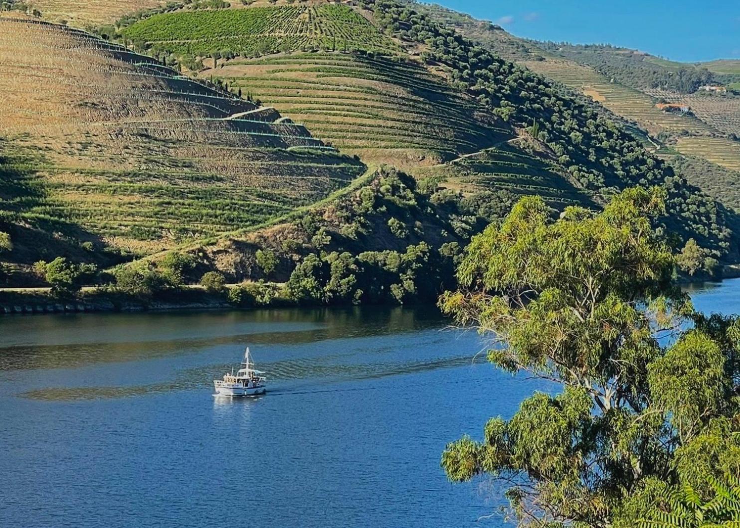Quinta Do Tedo Bed & Breakfast Folgosa  ภายนอก รูปภาพ