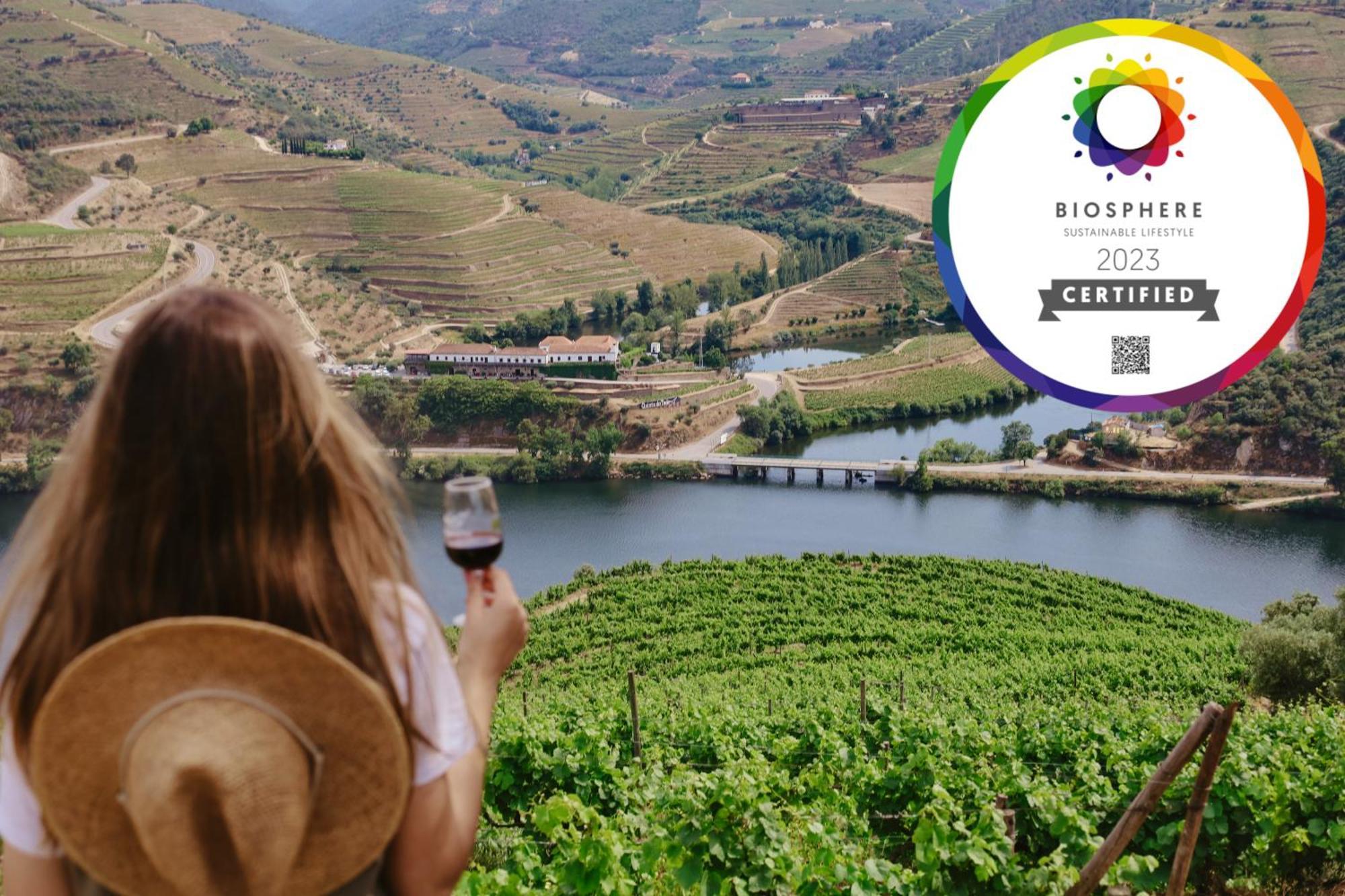 Quinta Do Tedo Bed & Breakfast Folgosa  ภายนอก รูปภาพ