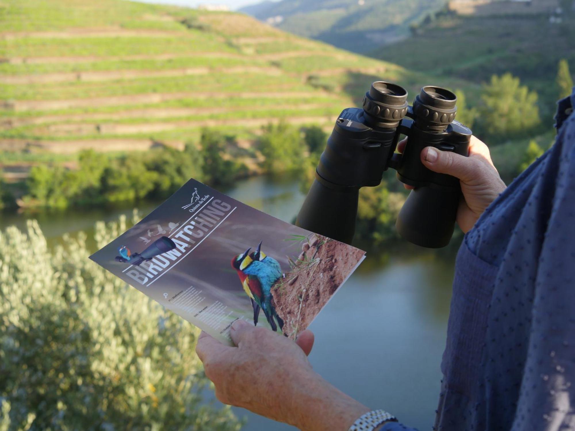 Quinta Do Tedo Bed & Breakfast Folgosa  ภายนอก รูปภาพ