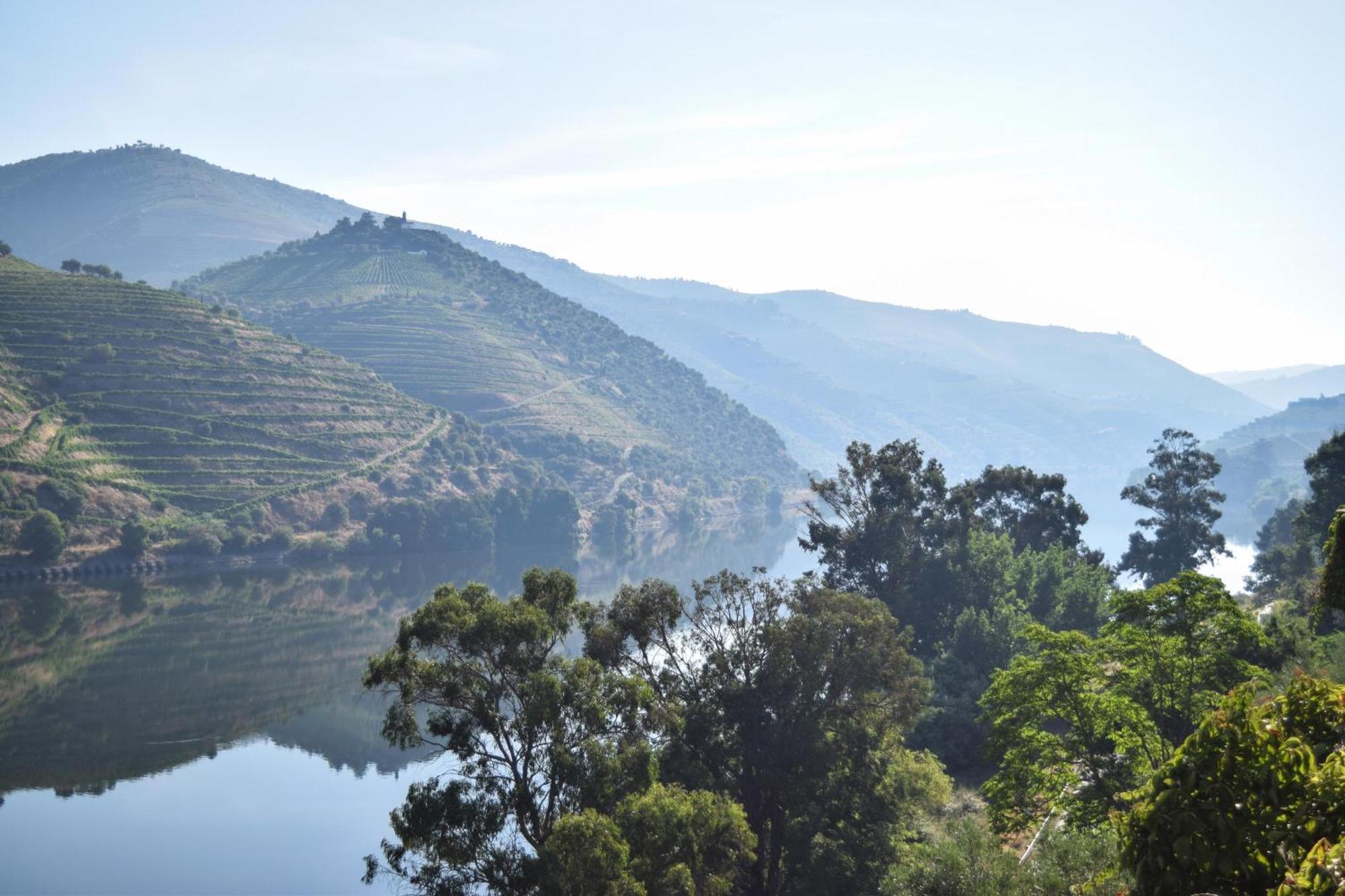 Quinta Do Tedo Bed & Breakfast Folgosa  ภายนอก รูปภาพ
