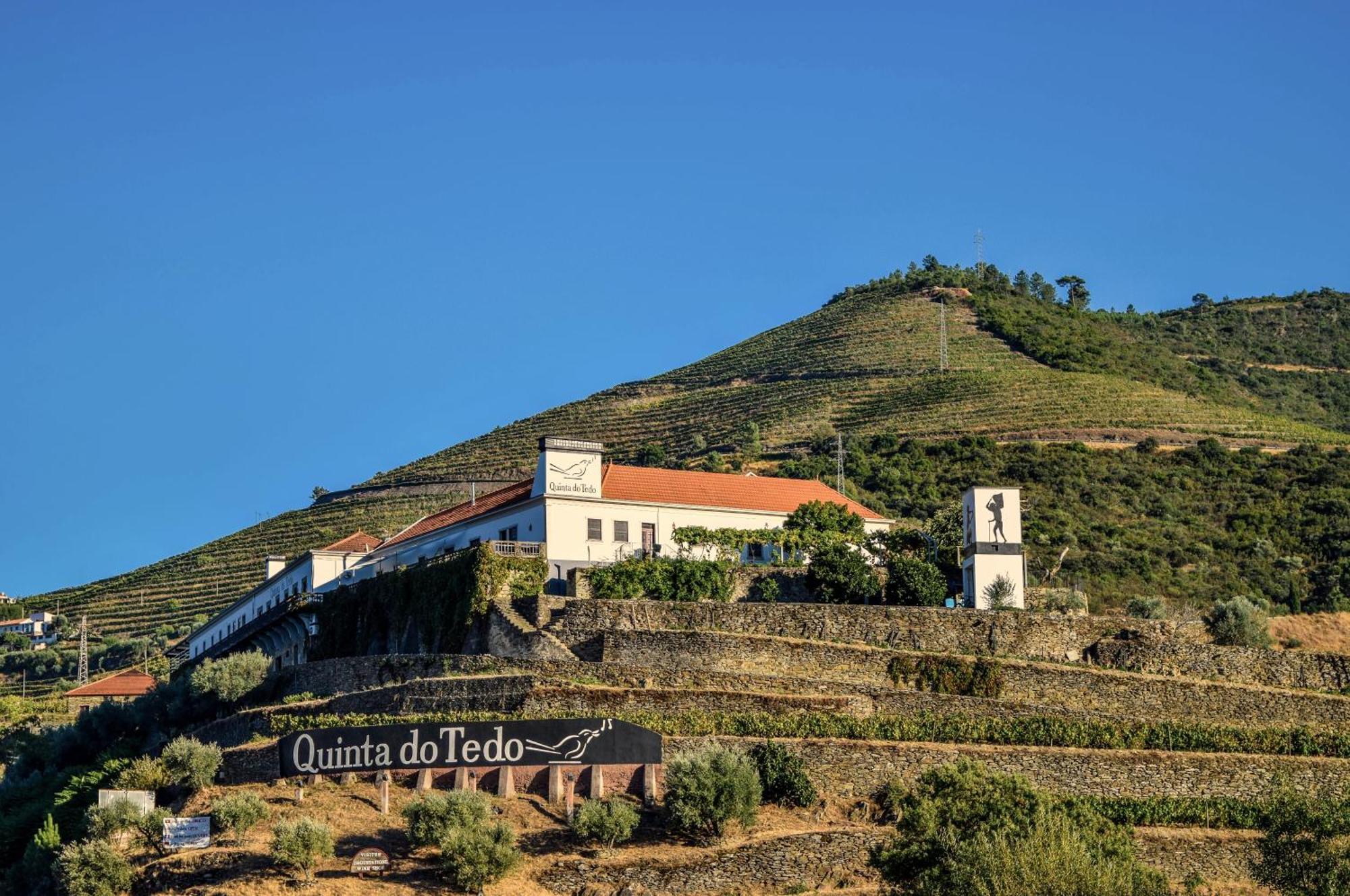 Quinta Do Tedo Bed & Breakfast Folgosa  ภายนอก รูปภาพ