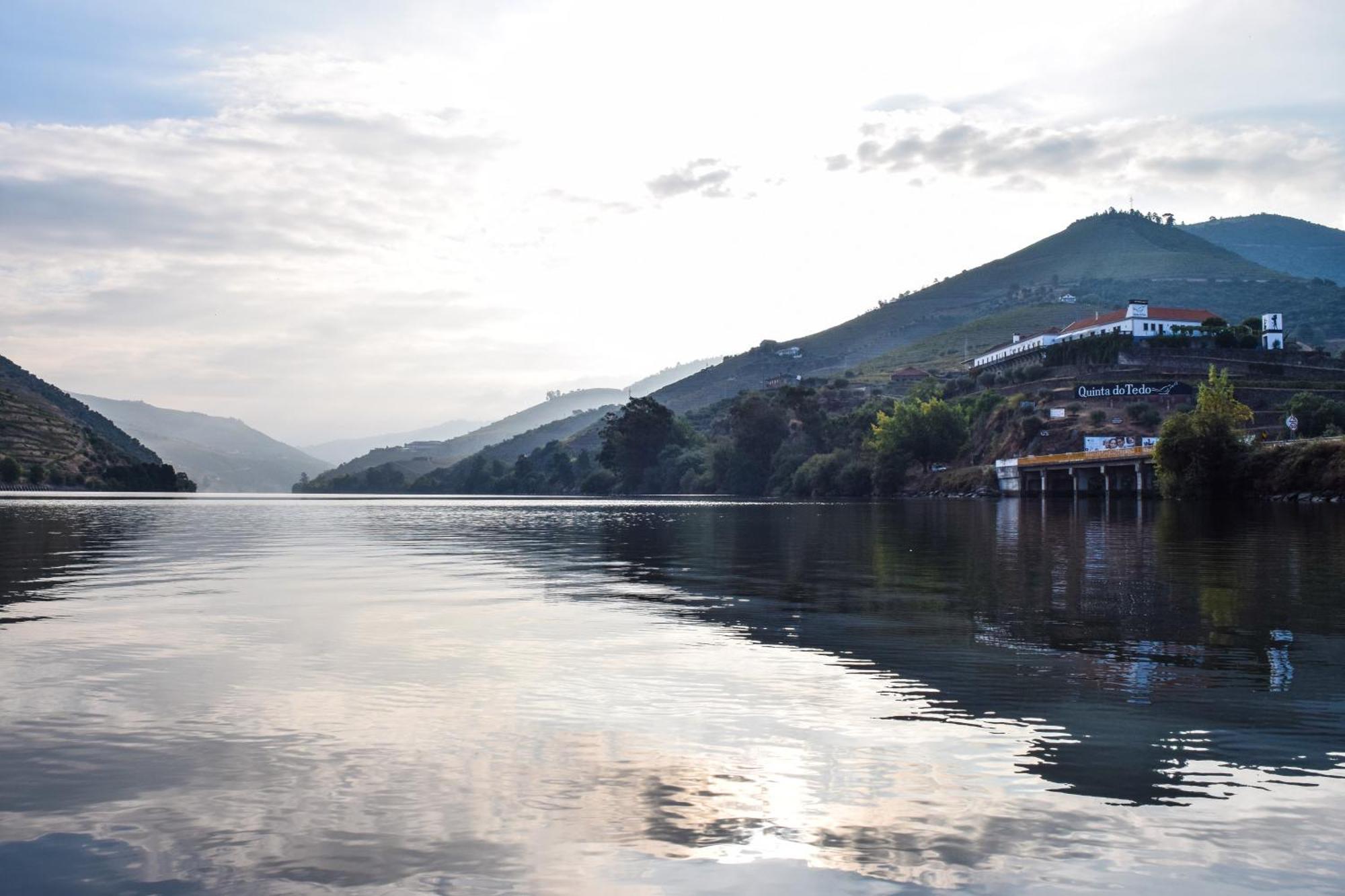 Quinta Do Tedo Bed & Breakfast Folgosa  ภายนอก รูปภาพ