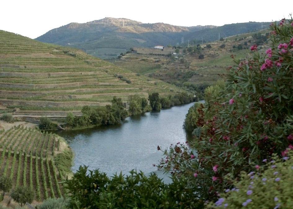 Quinta Do Tedo Bed & Breakfast Folgosa  ภายนอก รูปภาพ